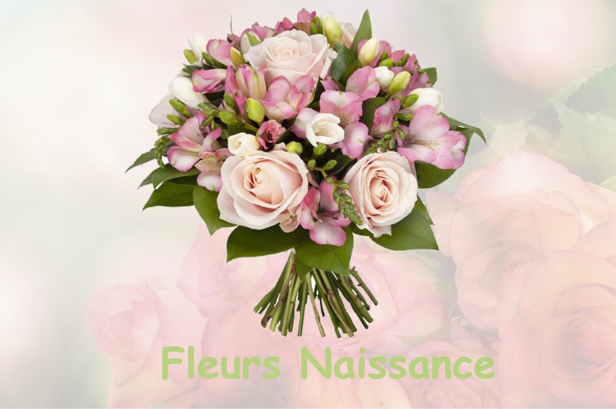 fleurs naissance VAUCOULEURS