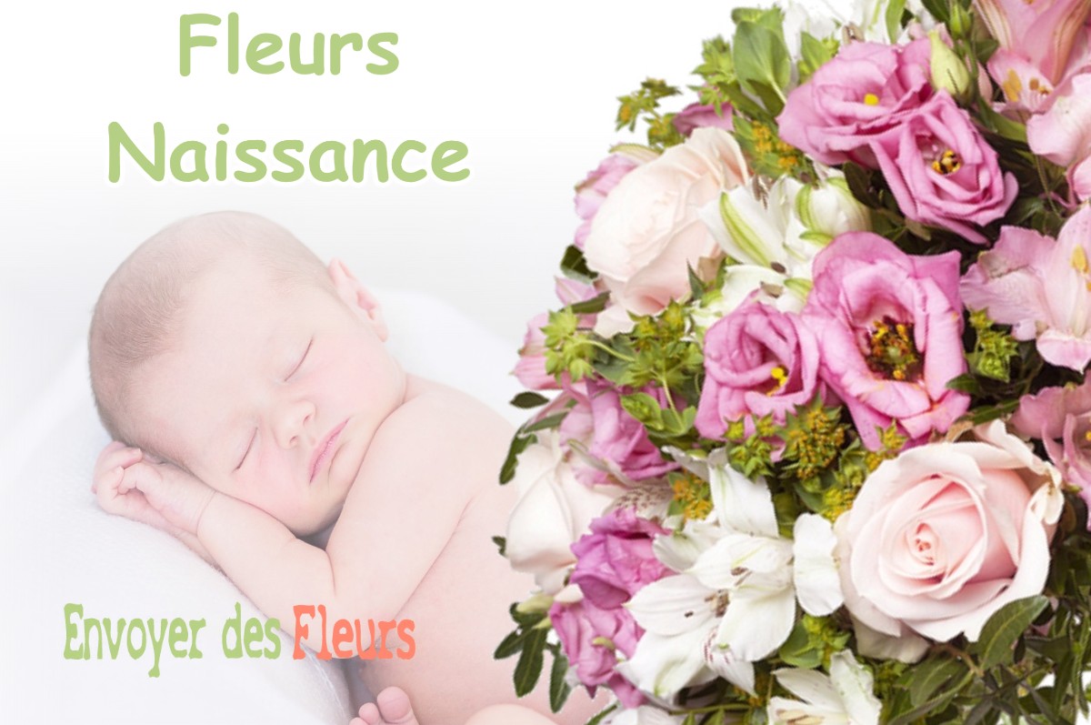 lIVRAISON FLEURS NAISSANCE à VAUCOULEURS